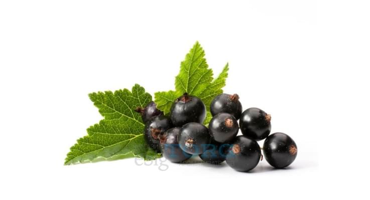 Изображение Ароматизатор My Flavor Blackcurrant Ароматизатор My Flavor Blackcurrant